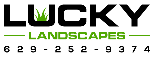 Lucky Landscapes
